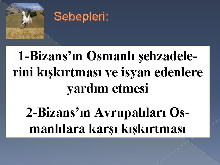 Sebepleri: 1 -Bizans’ın Osmanlı şehzadelerini kışkırtması ve isyan edenlere yardım etmesi 2 -Bizans’ın Avrupalıları