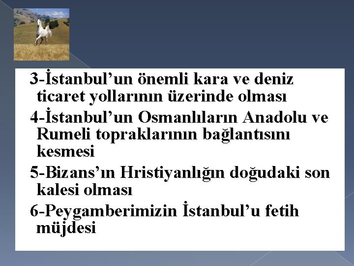 3 -İstanbul’un önemli kara ve deniz ticaret yollarının üzerinde olması 4 -İstanbul’un Osmanlıların Anadolu