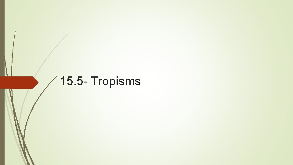 15. 5 - Tropisms 