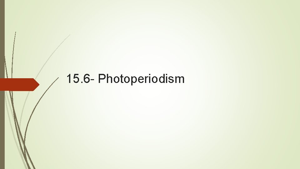 15. 6 - Photoperiodism 