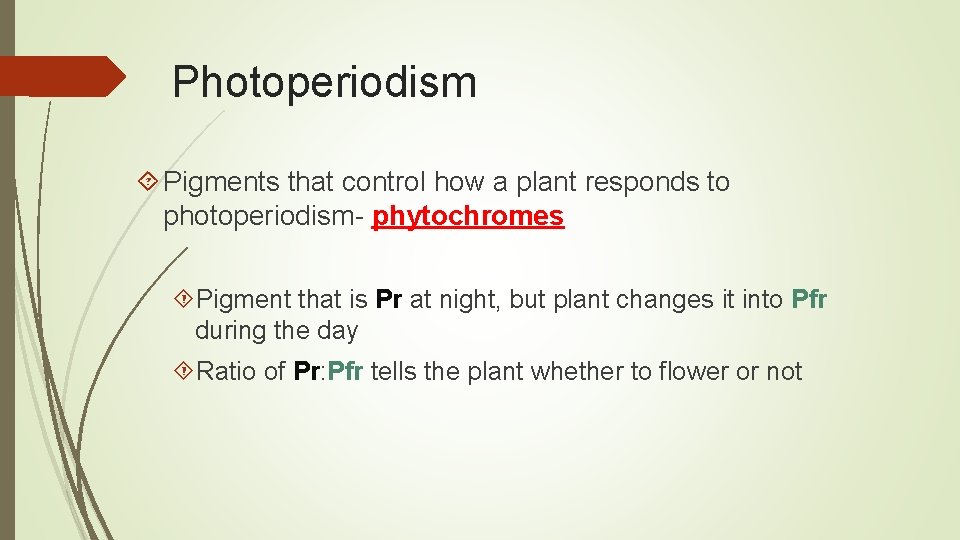 Photoperiodism Pigments that control how a plant responds to photoperiodism- phytochromes Pigment that is