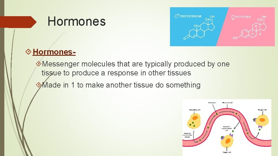 Hormones Messenger molecules that are typically produced by one tissue to produce a response