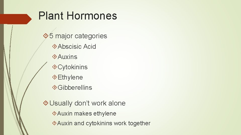 Plant Hormones 5 major categories Abscisic Acid Auxins Cytokinins Ethylene Gibberellins Usually don’t work