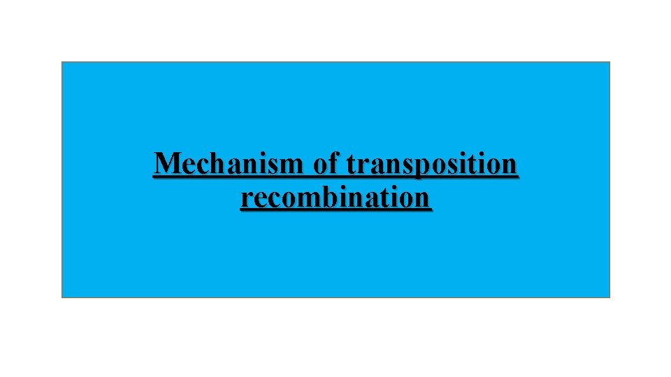 Mechanism of transposition recombination 