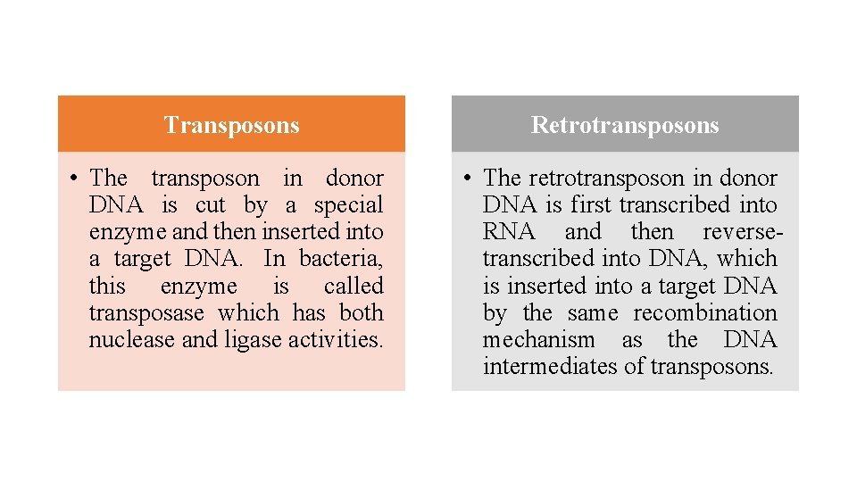 Transposons Retrotransposons • The transposon in donor DNA is cut by a special enzyme