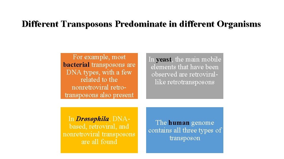 Different Transposons Predominate in different Organisms For example, most bacterial transposons are DNA types,