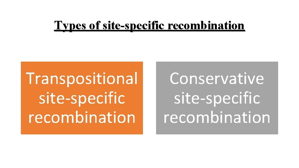 Types of site-specific recombination Transpositional site-specific recombination Conservative site-specific recombination 