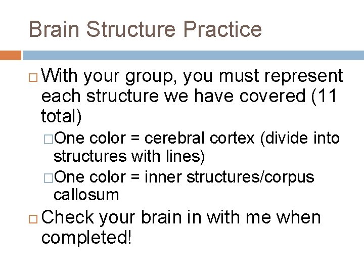 Brain Structure Practice With your group, you must represent each structure we have covered Brain Structure Practice With your group, you must represent each structure we have covered