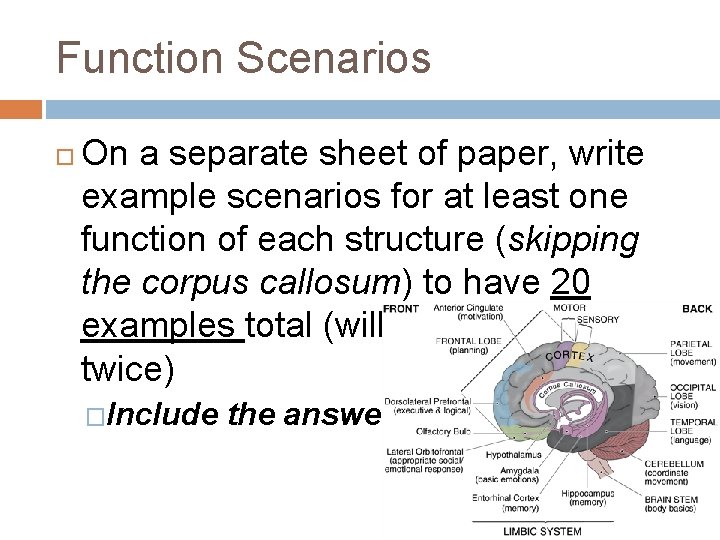 Function Scenarios On a separate sheet of paper, write example scenarios for at least Function Scenarios On a separate sheet of paper, write example scenarios for at least