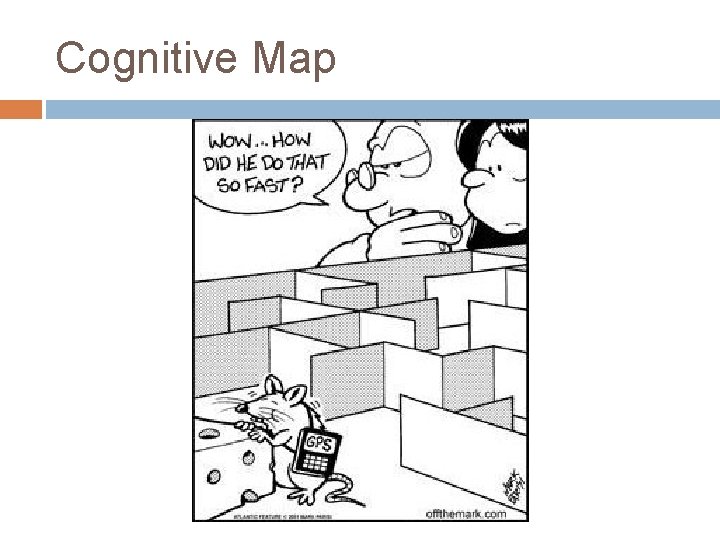 Cognitive Map Cognitive Map