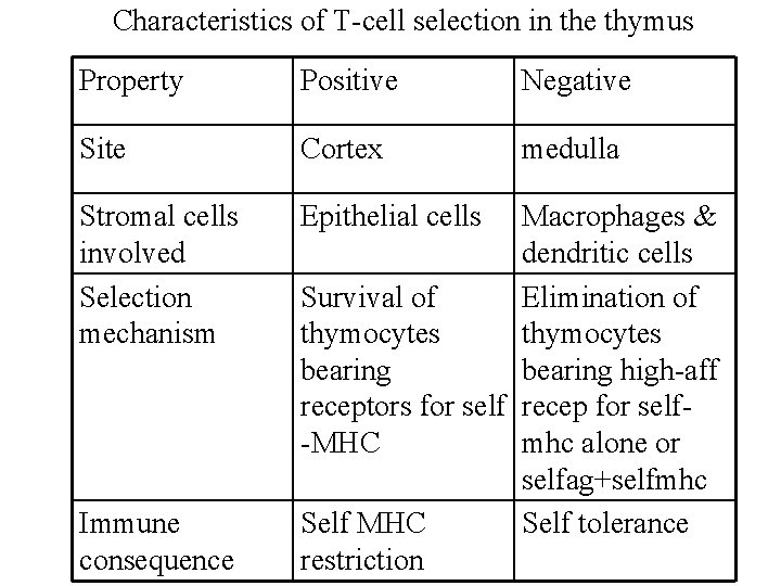 Characteristics of T-cell selection in the thymus Property Positive Negative Site Cortex medulla Stromal