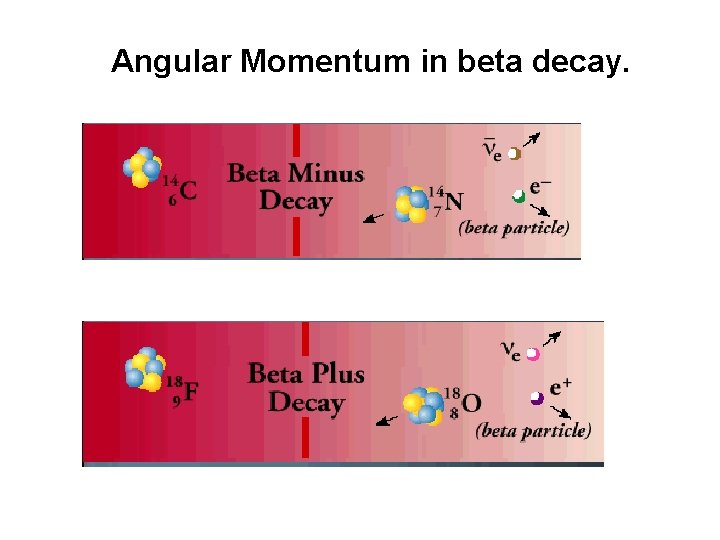 Angular Momentum in beta decay. 