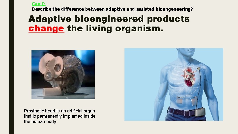 Can I: Describe the difference between adaptive and assisted bioengeneering? Adaptive bioengineered products change