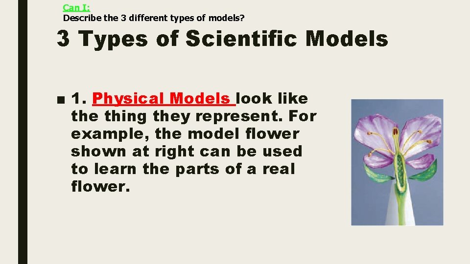 Can I: Describe the 3 different types of models? 3 Types of Scientific Models