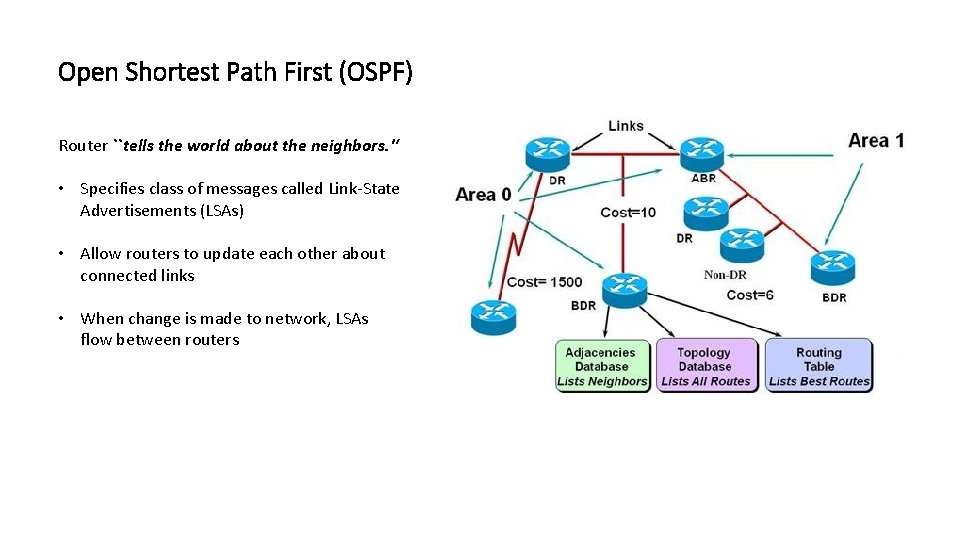 Open Shortest Path First (OSPF) Router ``tells the world about the neighbors. '‘ •