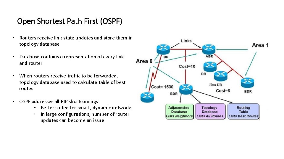 Open Shortest Path First (OSPF) • Routers receive link-state updates and store them in