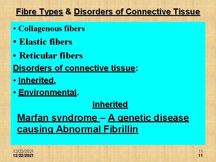 Fibre Types & Disorders of Connective Tissue • Collagenous fibers • Elastic fibers •