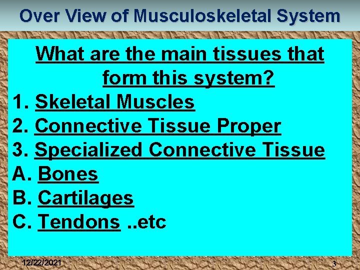 Over View of Musculoskeletal System What are the main tissues that form this system?