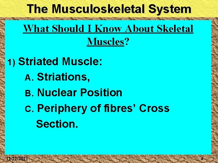 The Musculoskeletal System What Should I Know About Skeletal Muscles? 1) Striated Muscle: A.