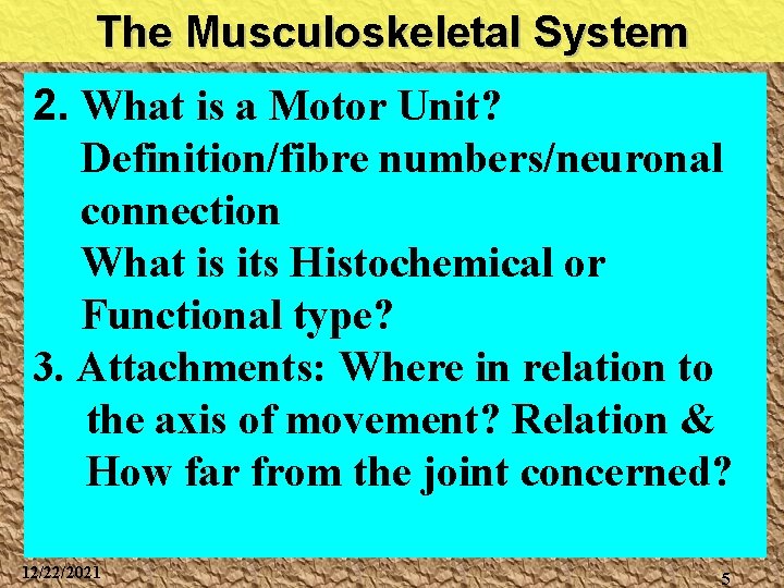 The Musculoskeletal System 2. What is a Motor Unit? Definition/fibre numbers/neuronal connection What is