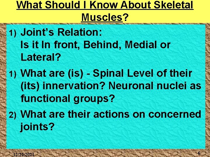 What Should I Know About Skeletal Muscles? 1) Joint’s Relation: Is it In front,