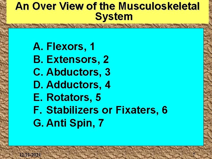 An Over View of the Musculoskeletal System A. Flexors, 1 B. Extensors, 2 C.