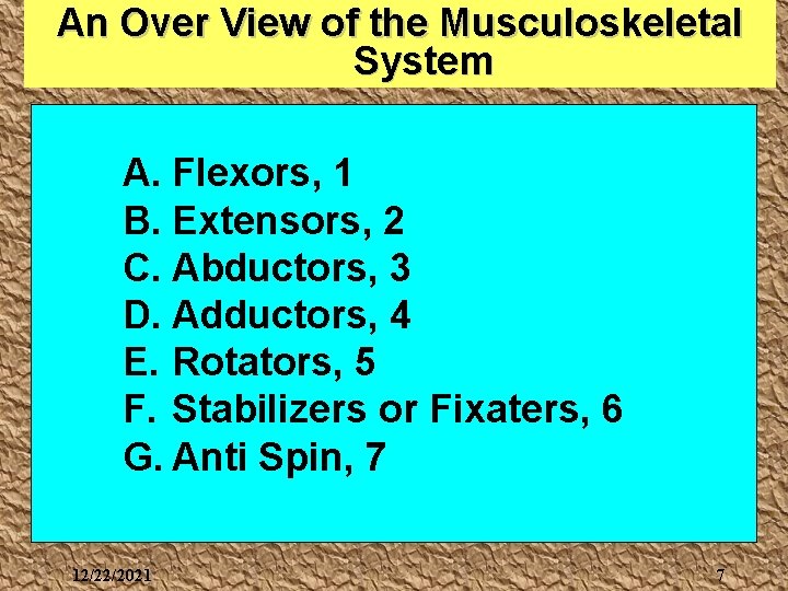 An Over View of the Musculoskeletal System A. Flexors, 1 B. Extensors, 2 C.