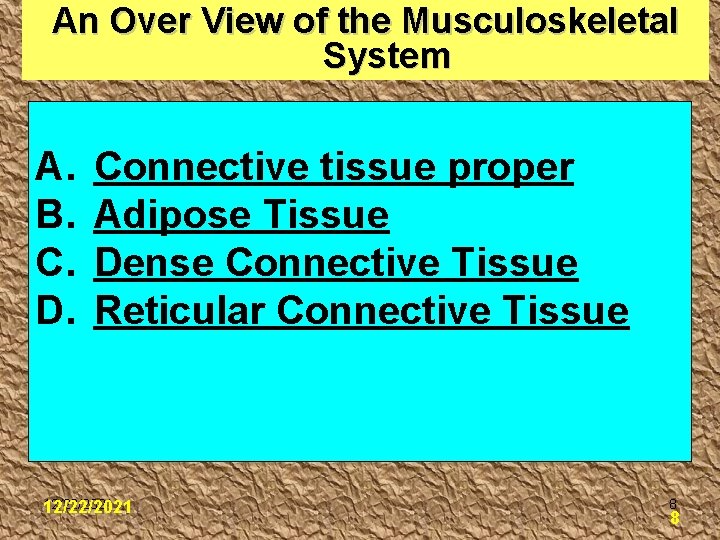 An Over View of the Musculoskeletal System A. B. C. D. Connective tissue proper