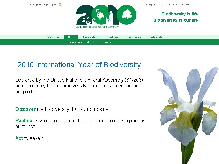 Biodiversity is life Biodiversity is our life 2010 International Year of Biodiversity Declared by