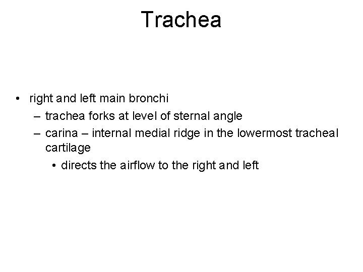 Trachea • right and left main bronchi – trachea forks at level of sternal