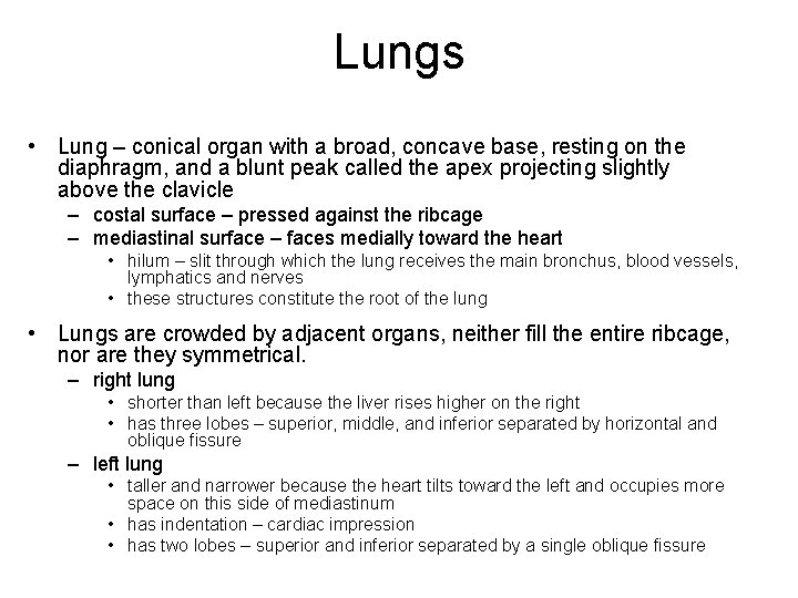 Lungs • Lung – conical organ with a broad, concave base, resting on the
