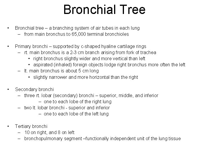 Bronchial Tree • Bronchial tree – a branching system of air tubes in each