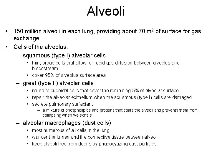 Alveoli • 150 million alveoli in each lung, providing about 70 m 2 of