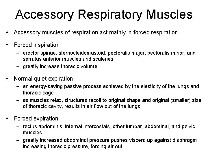 Accessory Respiratory Muscles • Accessory muscles of respiration act mainly in forced respiration •