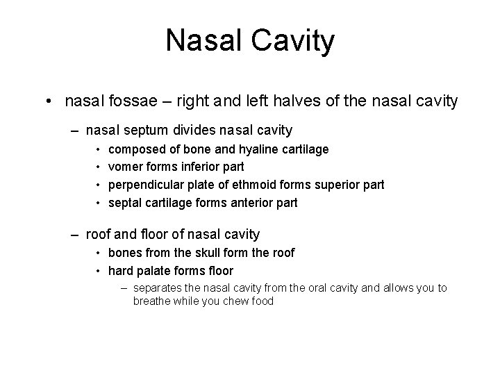 Nasal Cavity • nasal fossae – right and left halves of the nasal cavity