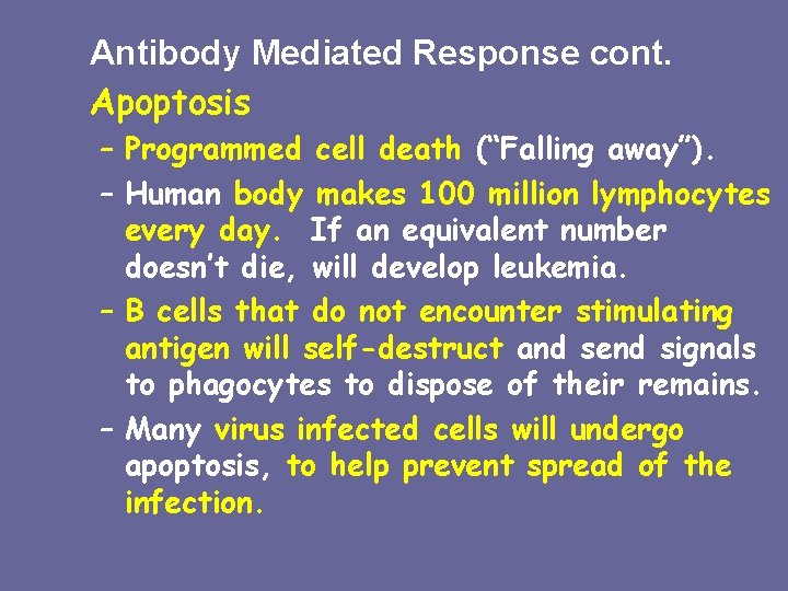 Antibody Mediated Response cont. Apoptosis – Programmed cell death (“Falling away”). – Human body