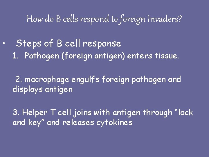 How do B cells respond to foreign Invaders? • Steps of B cell response