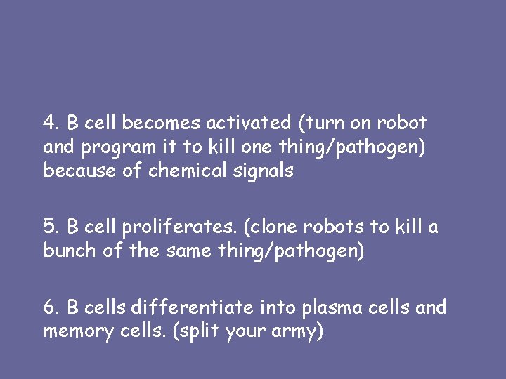 4. B cell becomes activated (turn on robot and program it to kill one