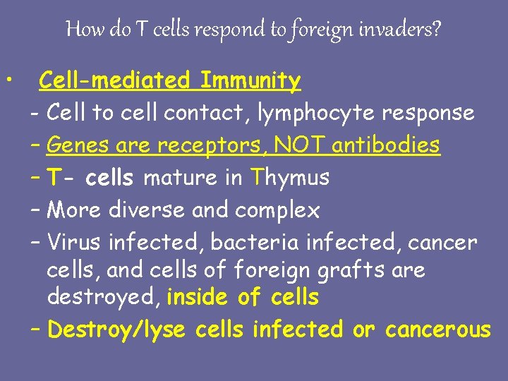 How do T cells respond to foreign invaders? • Cell-mediated Immunity - Cell to