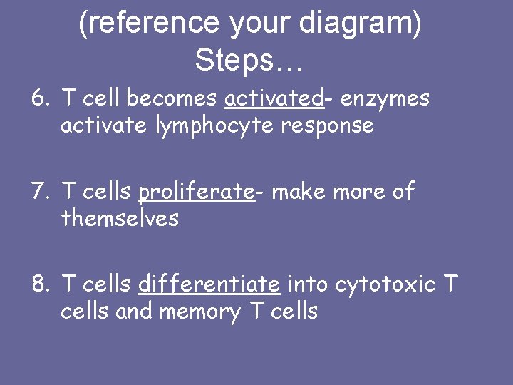 (reference your diagram) Steps… 6. T cell becomes activated- enzymes activate lymphocyte response 7.