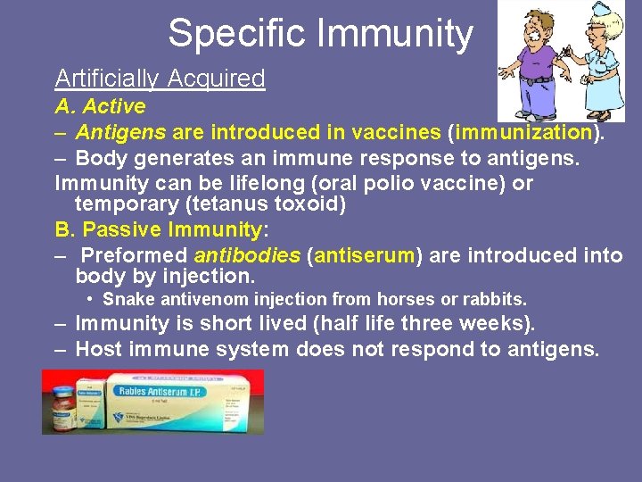 Specific Immunity Artificially Acquired A. Active – Antigens are introduced in vaccines (immunization). –