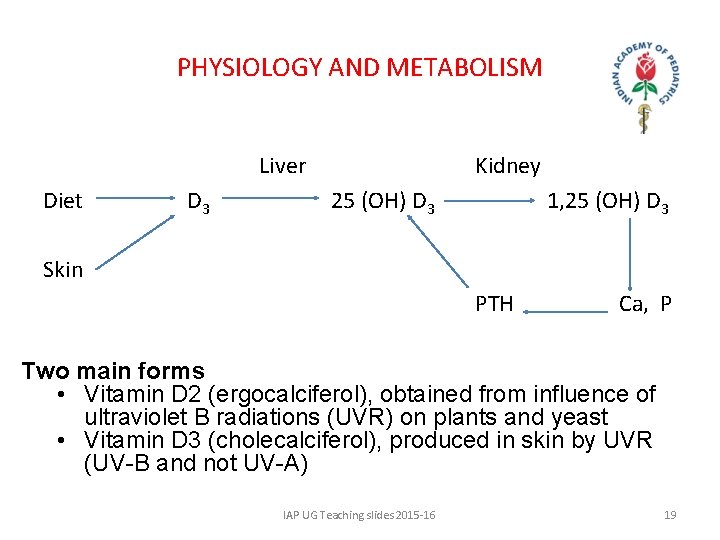 PHYSIOLOGY AND METABOLISM Liver Diet D 3 Kidney 25 (OH) D 3 1, 25