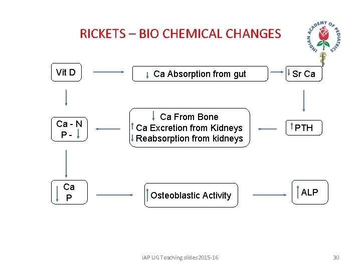 RICKETS – BIO CHEMICAL CHANGES Vit D Ca Absorption from gut Ca - N