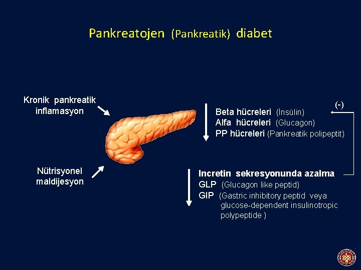 Pankreatojen (Pankreatik) diabet Kronik pankreatik inflamasyon Nütrisyonel maldijesyon (-) Beta hücreleri (İnsülin) Alfa hücreleri