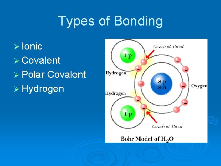 Types of Bonding Ø Ionic Ø Covalent Ø Polar Covalent Ø Hydrogen Types of Bonding Ø Ionic Ø Covalent Ø Polar Covalent Ø Hydrogen