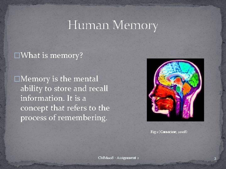 Human Memory �What is memory? �Memory is the mental ability to store and recall