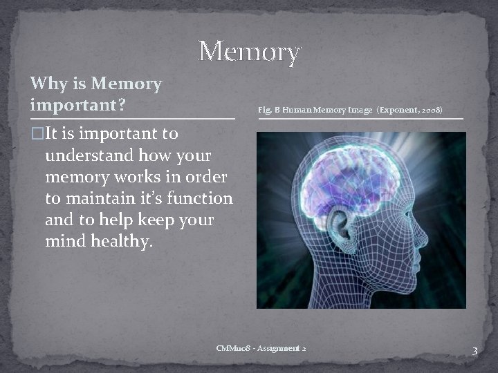 Memory Why is Memory important? Fig. B Human Memory Image (Exponent, 2008) �It is