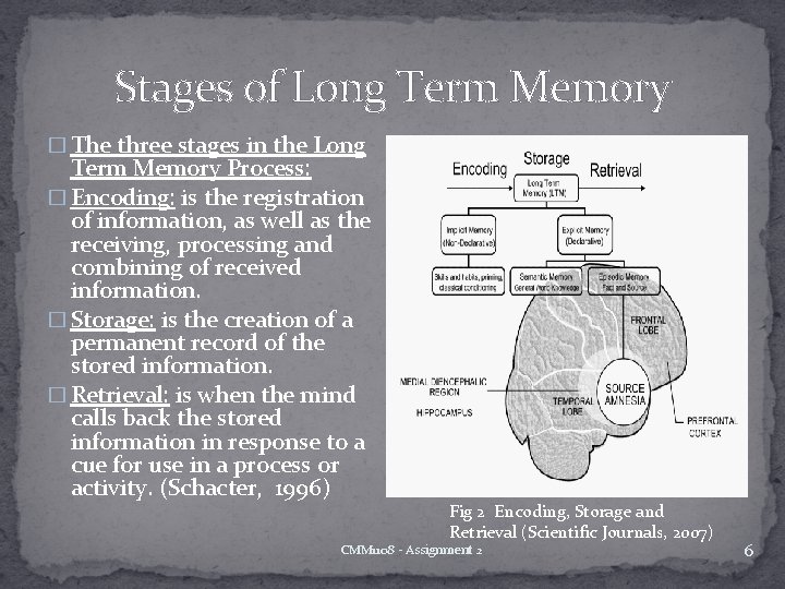 Stages of Long Term Memory � The three stages in the Long Term Memory