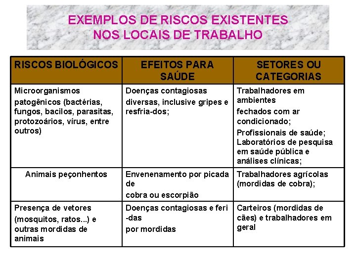 EXEMPLOS DE RISCOS EXISTENTES NOS LOCAIS DE TRABALHO RISCOS BIOLÓGICOS Microorganismos patogênicos (bactérias, fungos,