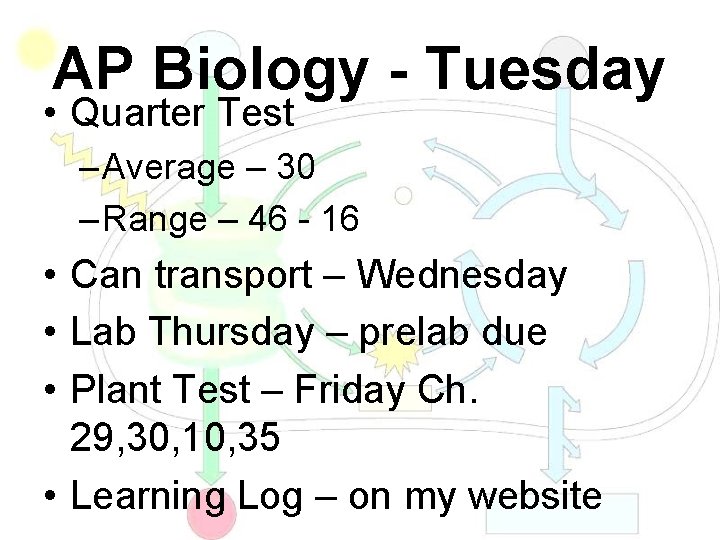 AP Biology - Tuesday • Quarter Test – Average – 30 – Range –